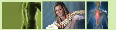 Header Brockport Chiropractic